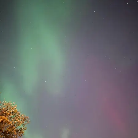 公寓 Riga's Timeless Elegance