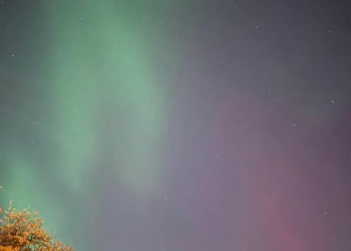 公寓 Riga's Timeless Elegance